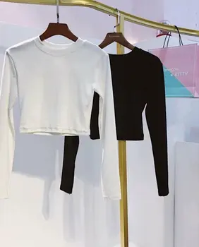 crop top blank shirts