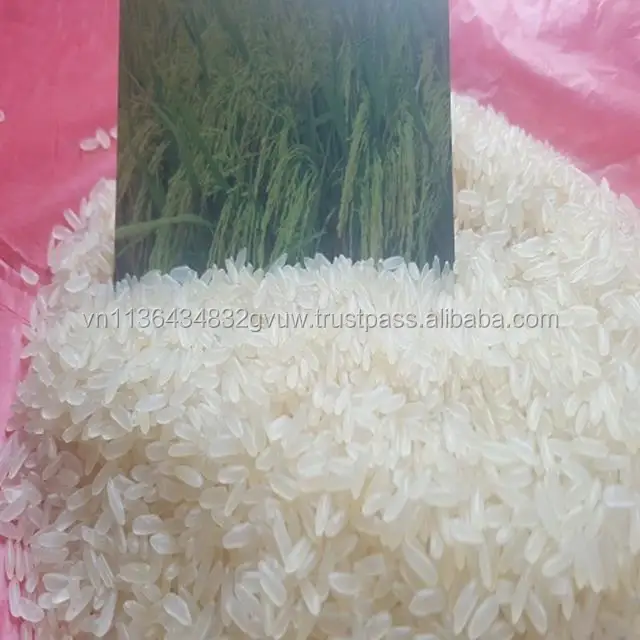 Parboiled11 (Copy).jpg