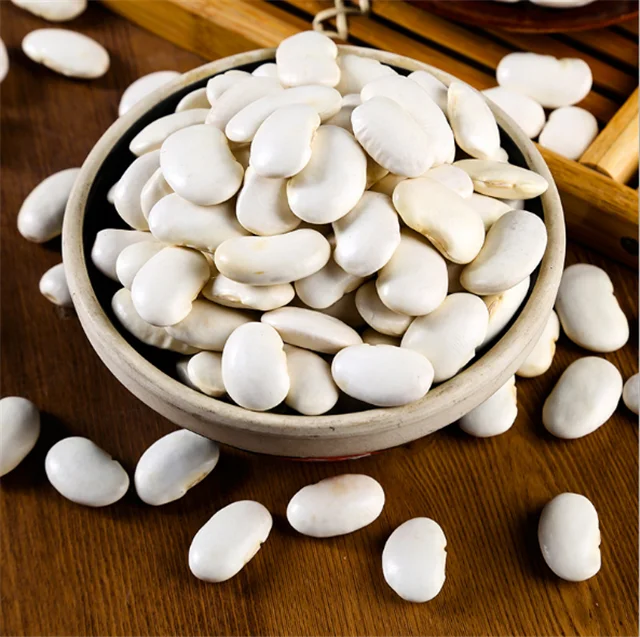 白芸豆 (中型) 出售