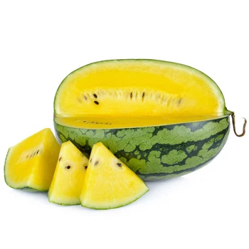 organic high quality fresh yellow baby watermelon - best price