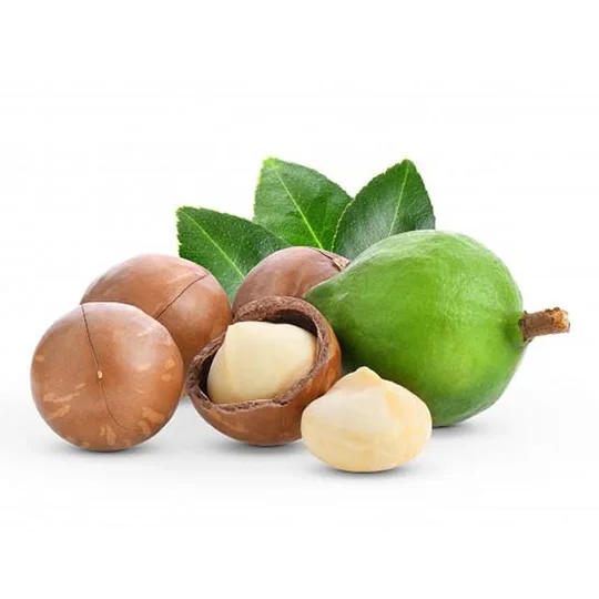 
Dry Roasted Macadamia nuts 500gr from Daklan Vietnam 