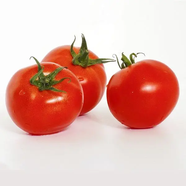 fresh tomatoes.jpg