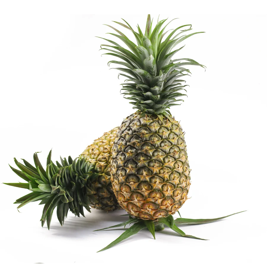 
High quality Fresh Pineapples from Vietnam 