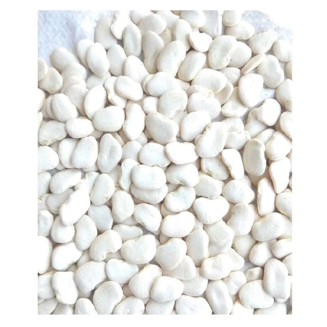 
AD Drying 14%Max Moisture 2 Years Shelf Life Dried Lima Beans for Sale 140/160 Pcs per 100g Bulk 