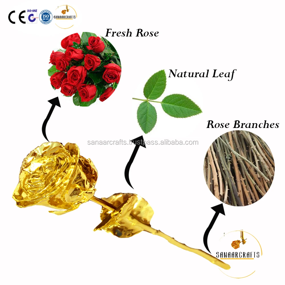 2022 Creative Natural Plated 24k Gold Rose Flower Full Goldplated