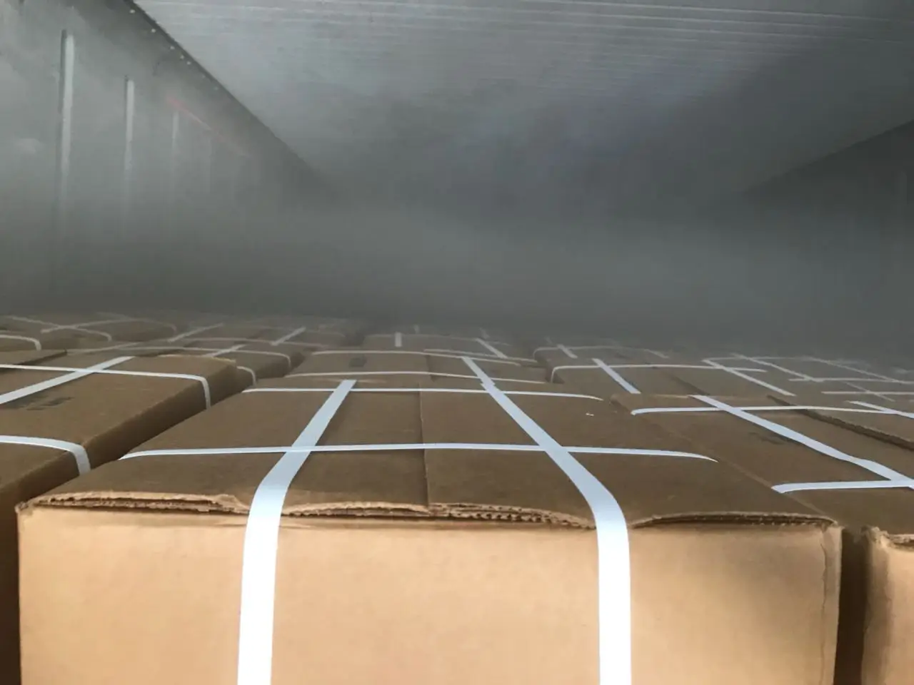 冷冻布德南美虾 Buy Export Frozen Pud Vannamei Shrimp Indian Origin At Bulk Quantity 24 Month Shell