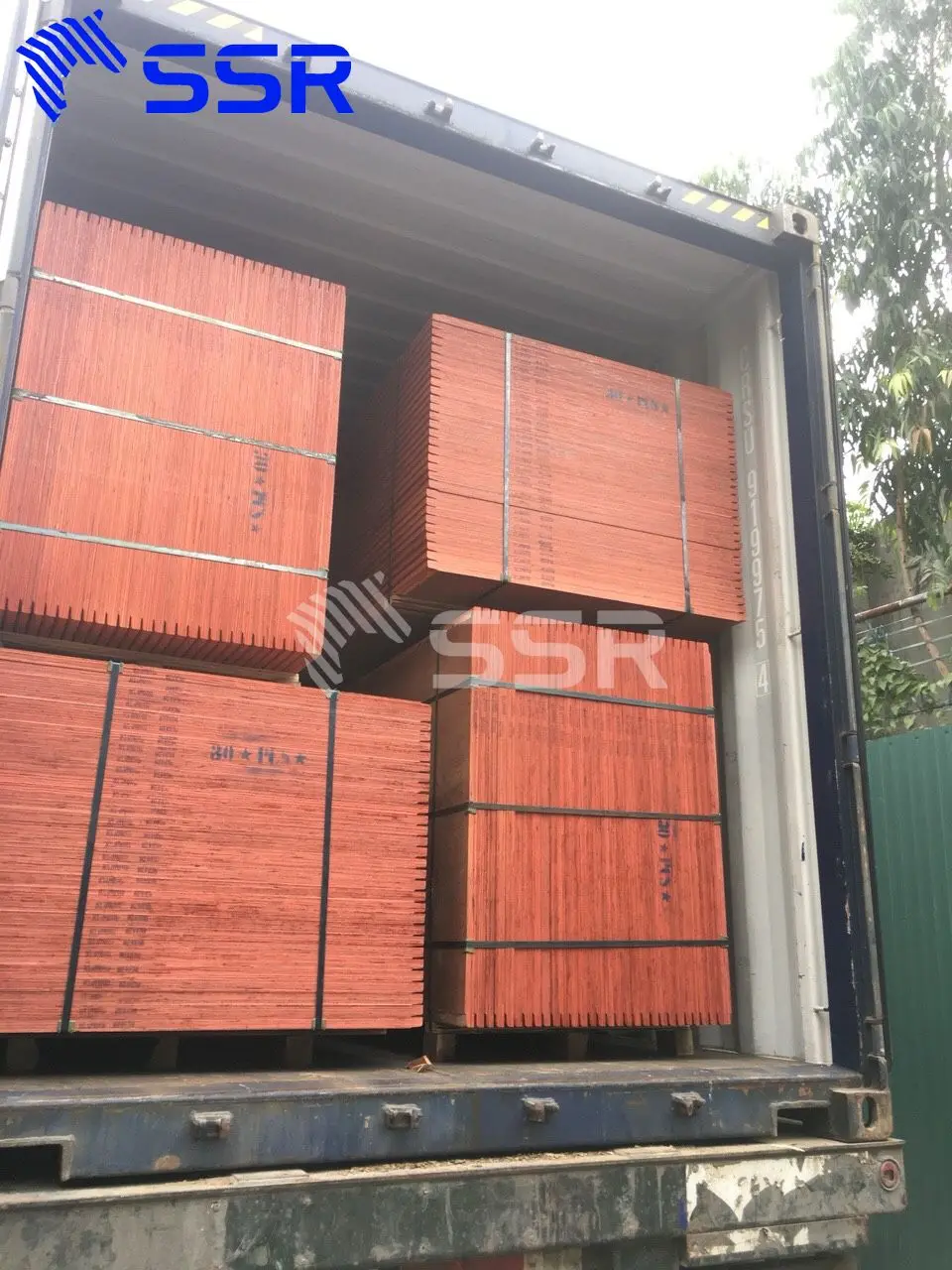 Film Face Plywood -Container flooring Plywood