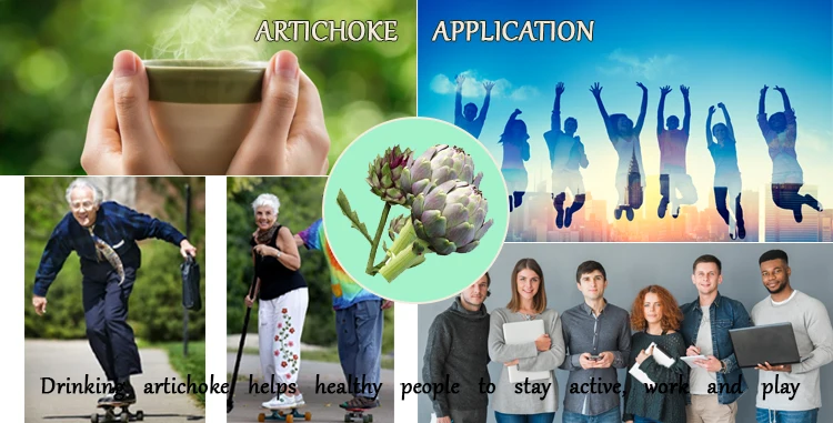 artichoke (1).jpg