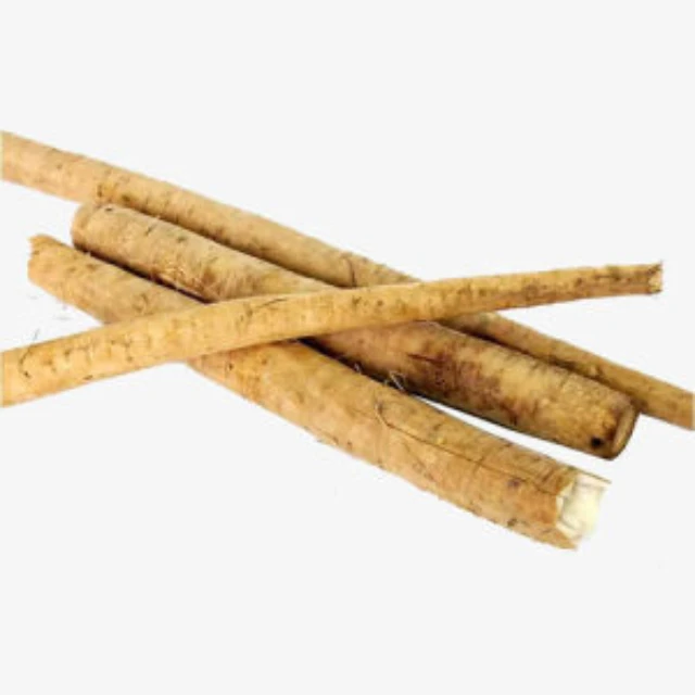 factory direct sale of fresh vegetables and fresh burdock