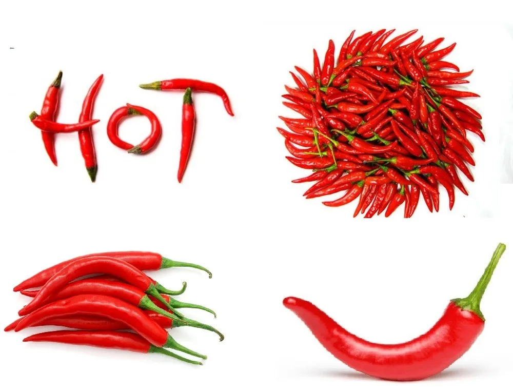 a huge wholesale fresh small chilli with best price for export t