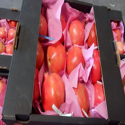 
fresh wonderful pomegranates 