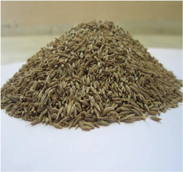 CUMIN SEED EUROPIAN.jpg