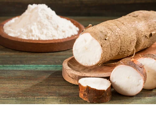 premium class tapioca starch