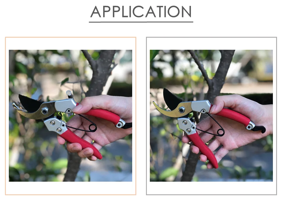 Bypass Professional Garden Tool Pruner Getting Started Pruning Shears