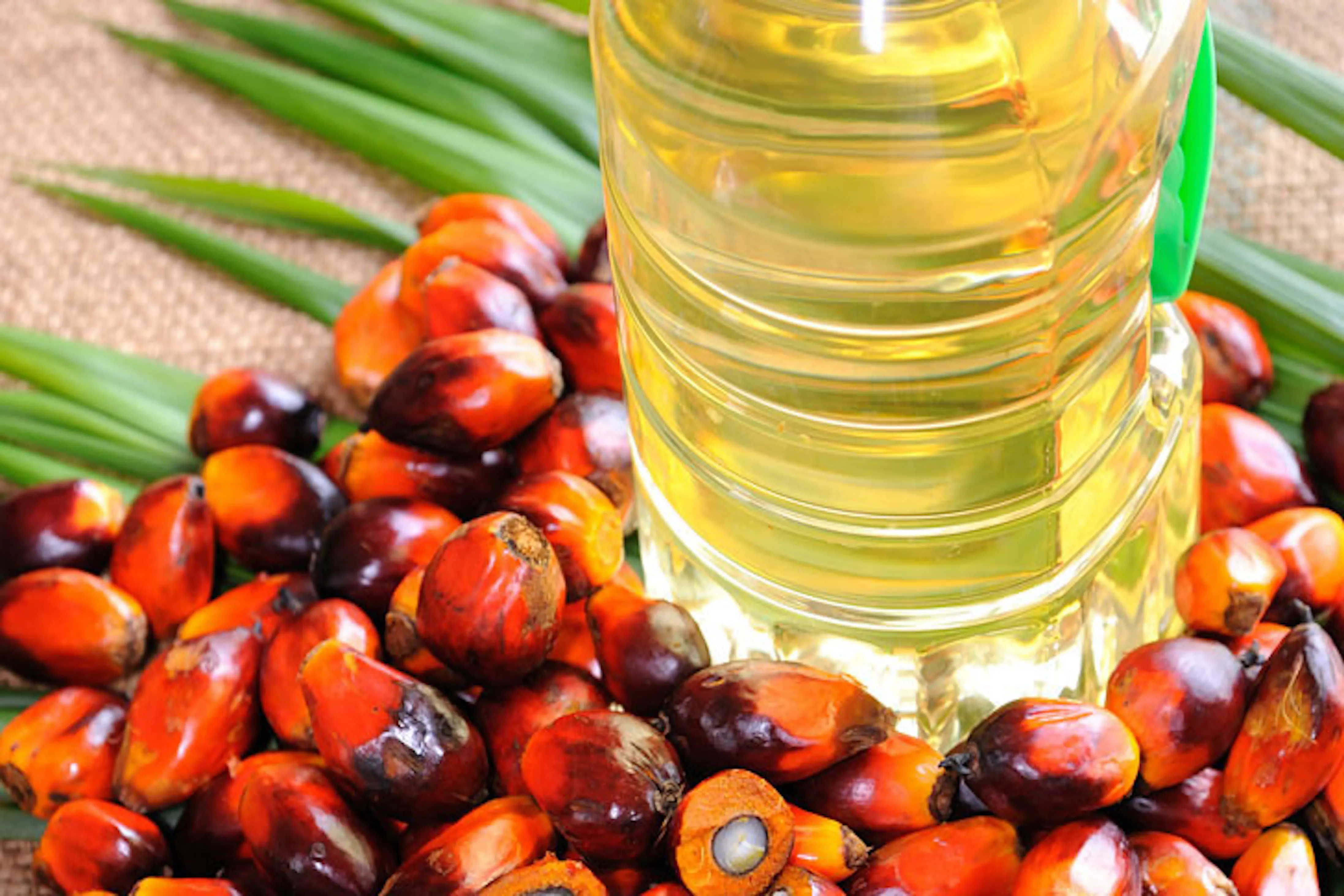 pure palm cooking oil (cp6 - cp8 - cp10) 100% halal palm oil