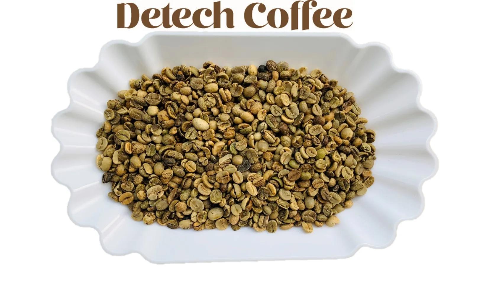 Arabica Green Coffee Beans Of Vietnamese Wholesale Supplier Grade