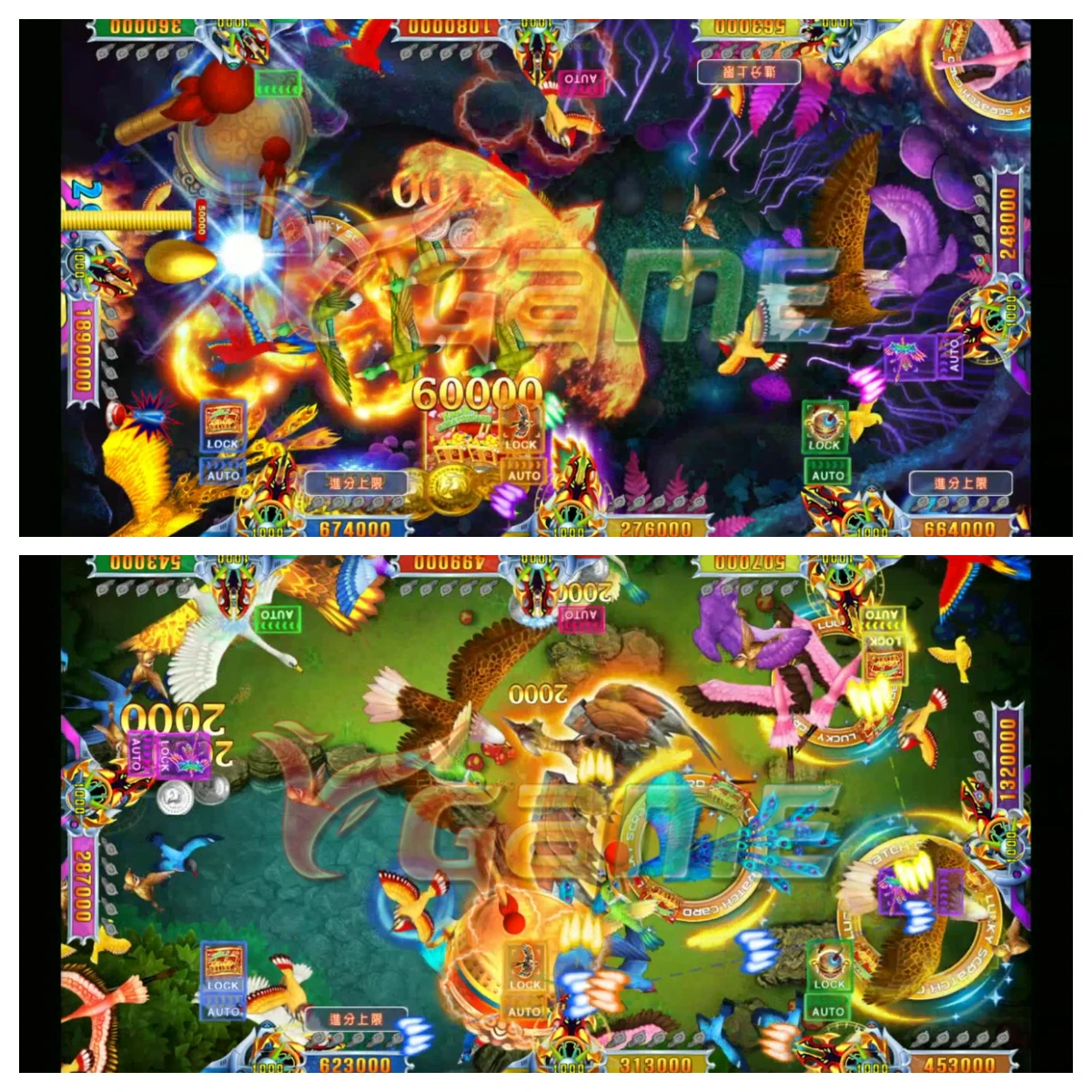 Casino Operated Games