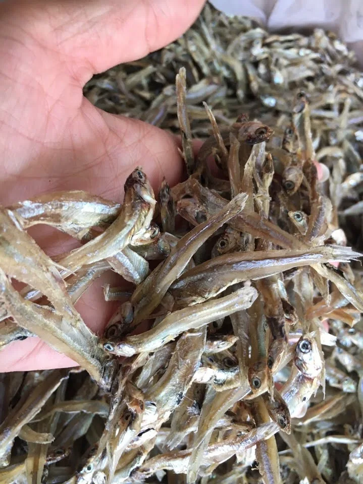 Whole Sun Dry Boneless Anchovy Fish From The Ocean Buy Dried Anchovy