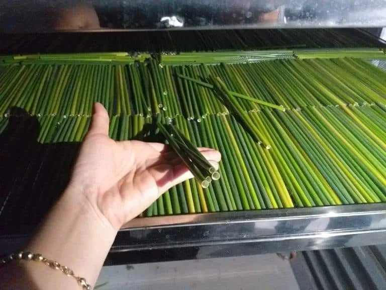 100 Natural Eco Friendly Biodegradable Drinking Straws / Organic Sedge