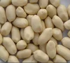 quality Chinese blanched peanut kernels wholesale price
