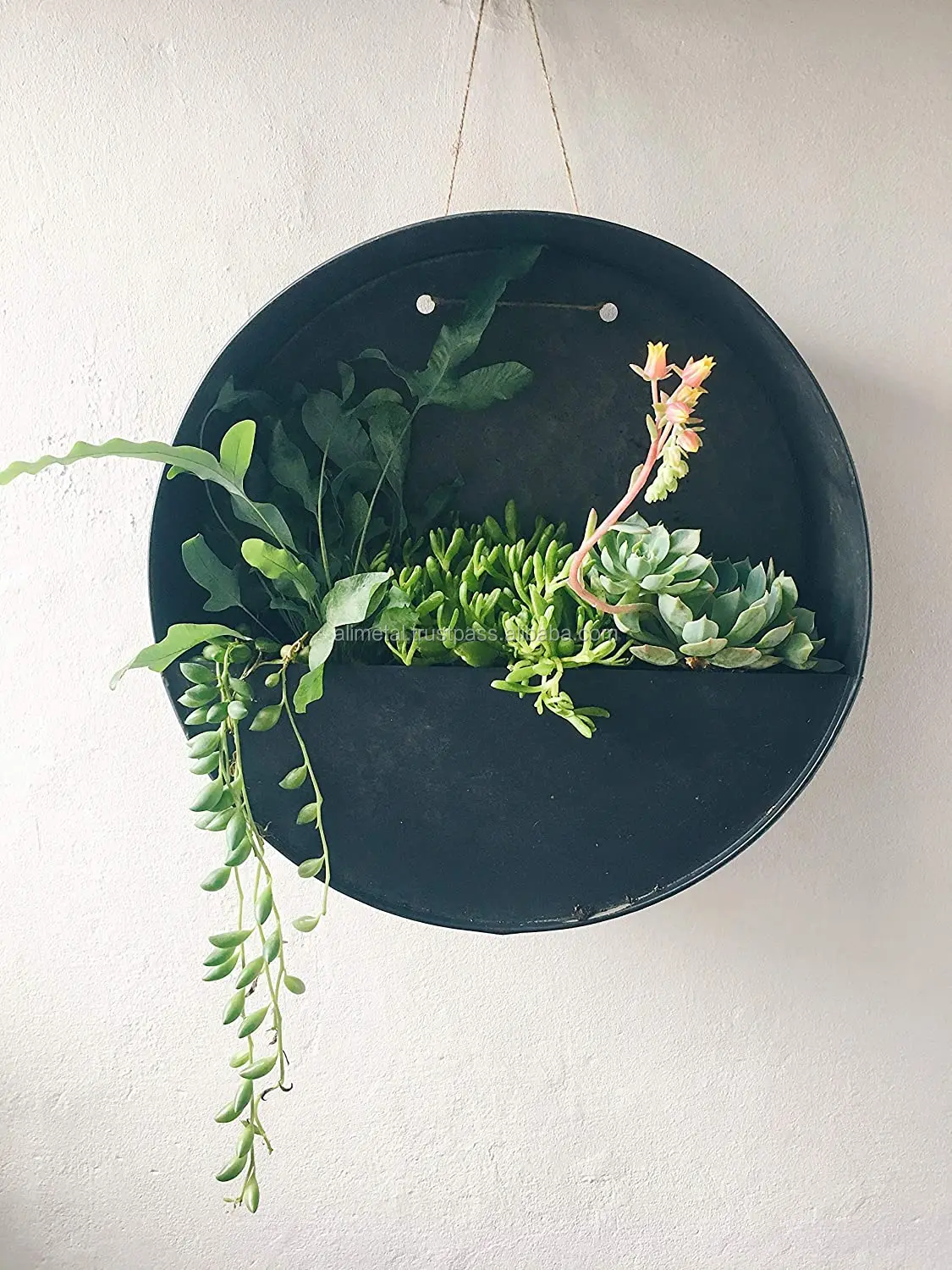 Round Hanging Wall Vase Planter For Succulents Or Herbs Wall Decor