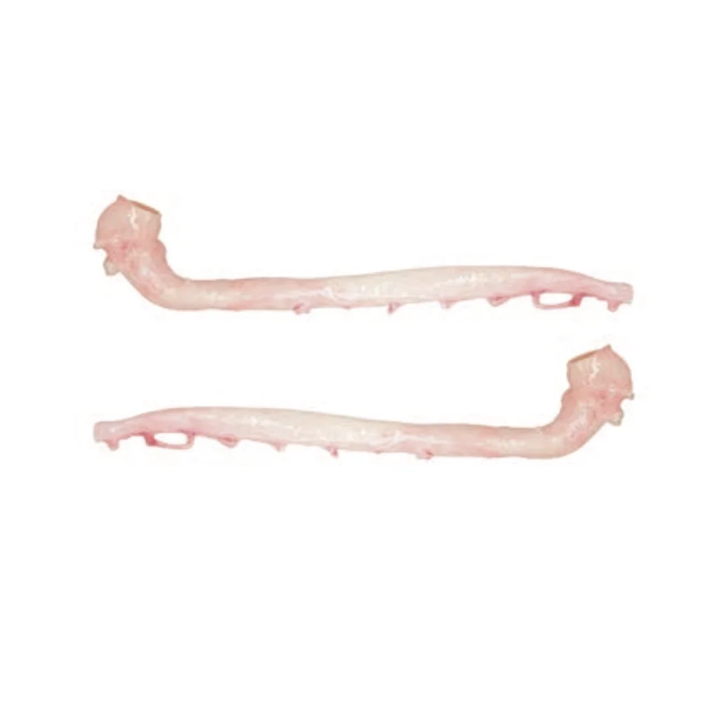 
Frozen Pork Aorta, Pig Aorta, Pork Heart Tube 
