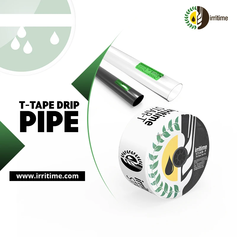 Star Ttape Drip Pipe 6 Mil 15 Cm For Agriculture Buy Drip Irrigation