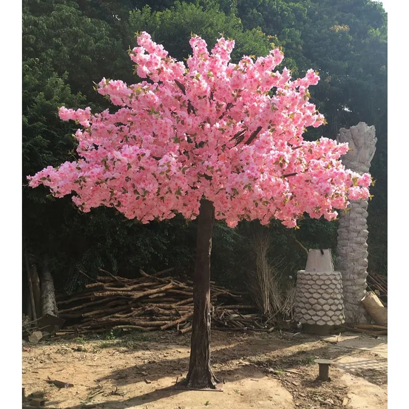 500cm Height Artificial Pink Japanese Cherry Blossom Large Fiberglass Cherry Blossom Tree For Sale Buy Japanese Cherry Blossom Plastic Cherry Blossom Tree Cherry Blossom Tree Product On Alibaba Com
