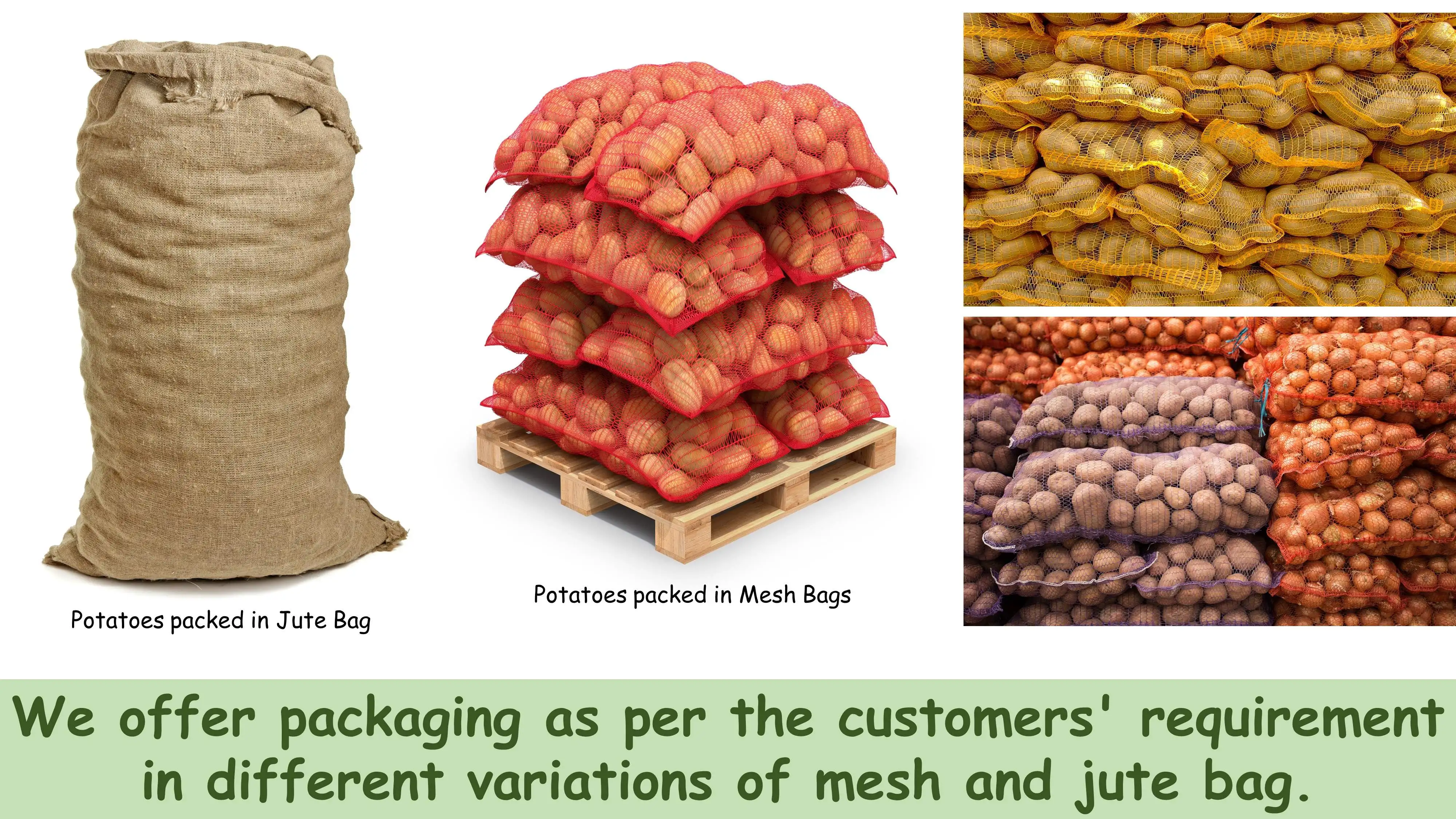 Fresh Pakistani Potatoes / Potatoes Bulk Price Cheap Finest Quality