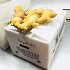Popular hot selling yellow fresh smooth smooth ginger