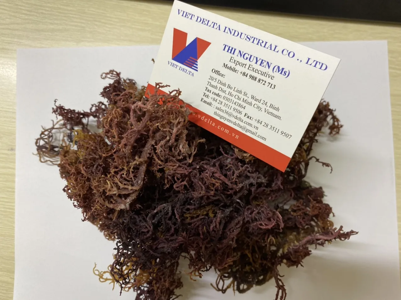 Irish Moss for Making Sea Moss Gel/ Dried Purple Sea Moss No Salt/ Ms