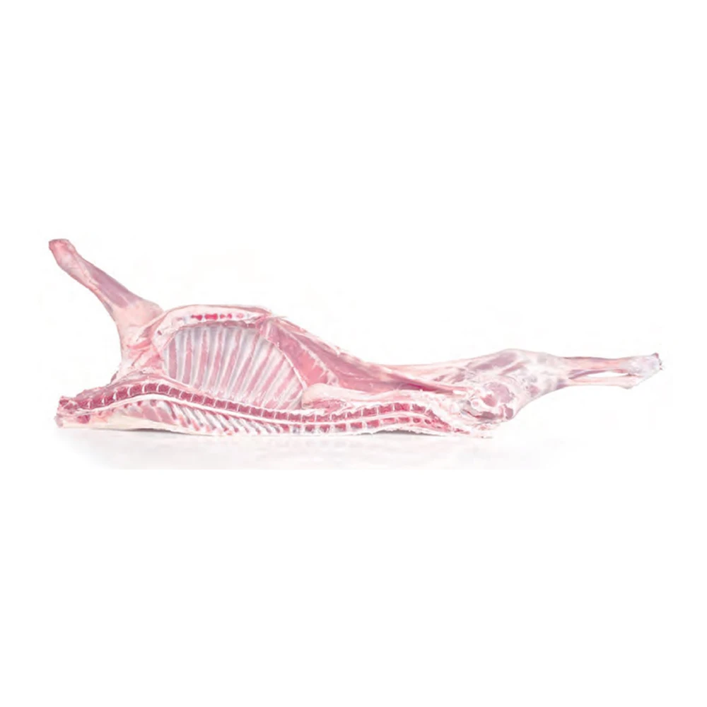 
Halal Lamb meat from spain - Half Carcasses Milk Fed Lamb [Moralejo Seleccion] 