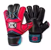 /product-detail/custom-logo-and-printing-gloves-branded-goalkeeper-gloves-available-cheap-price-goalkeeper-gloves-62013521688.html