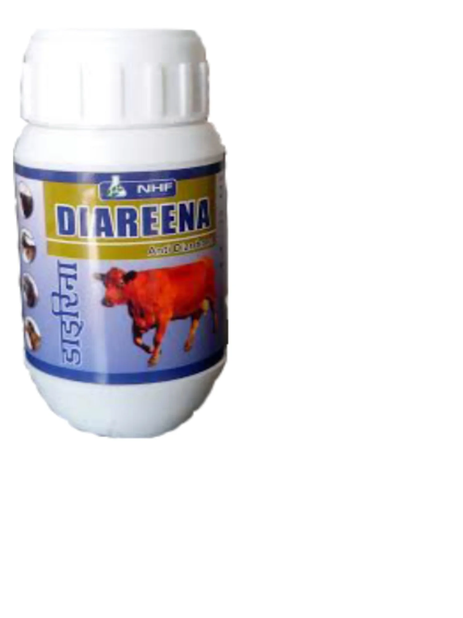Diareena Cattle.jpg