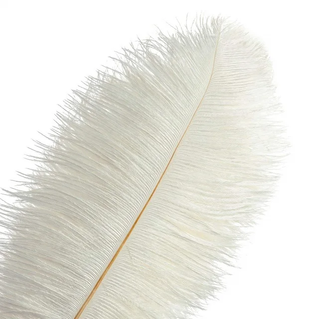 large feathers for sale