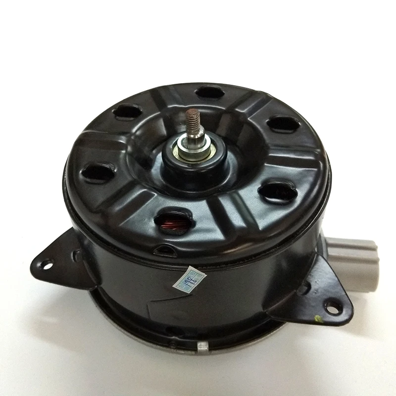 Fan Motor 163630h220 163630v390 12v Radiator Fan Motor Car Air
