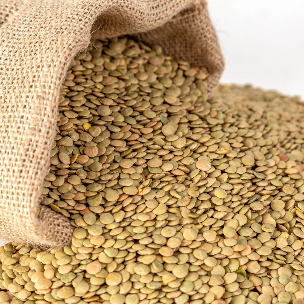 wholesale russian lentilles de couleur green lentils