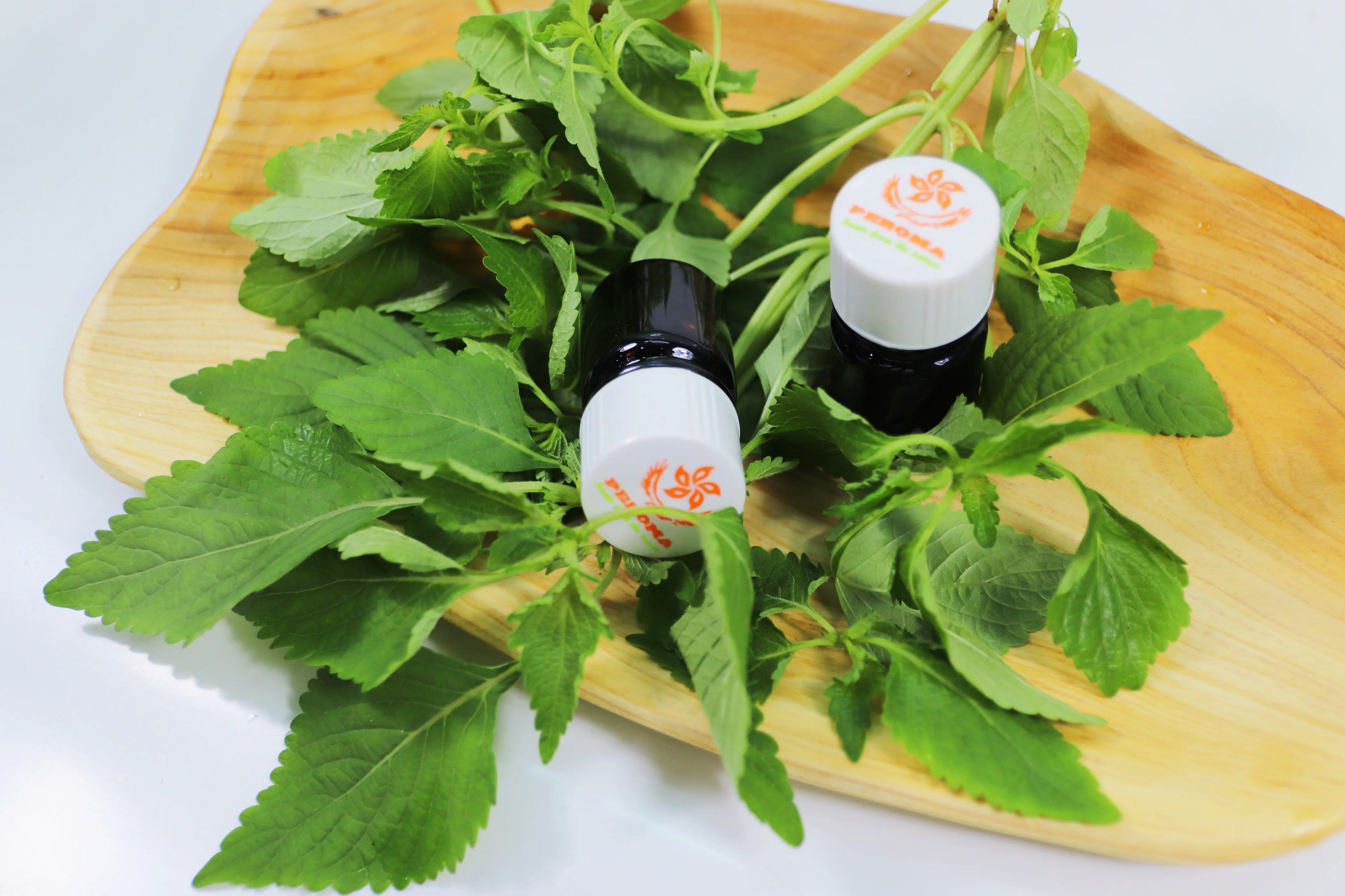 Best Seller Concentrated Liquid Plant Extract Internal Ingredient