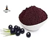 Food Additives Freeze-Dried Organic Acai Berry Extract Powder PERU