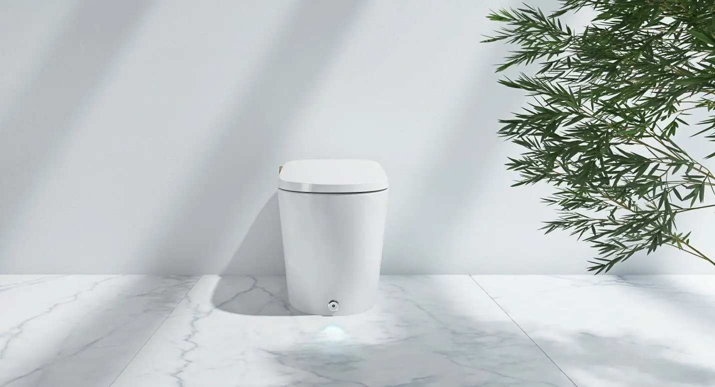 DV70-sanitary ware toilet.JPG