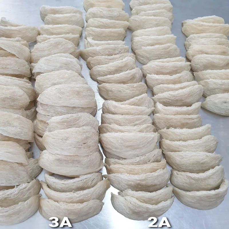 Edible Birds Nest Box Natural Premium Quality From Thailand Buy Birds