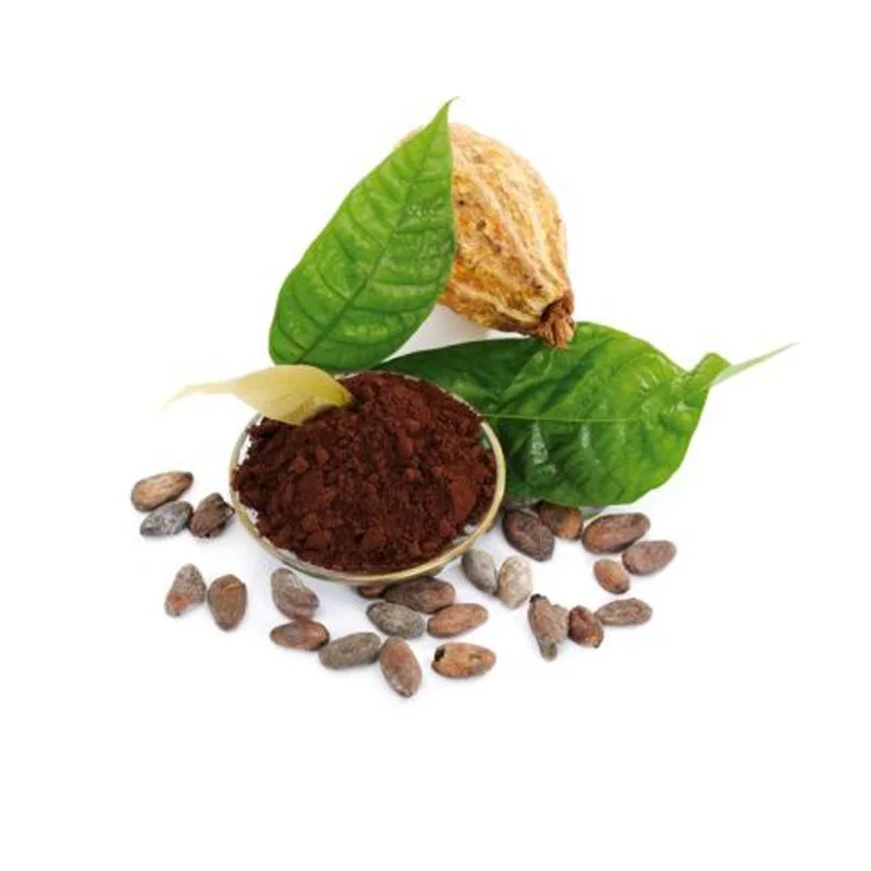bulk natural roasted cacao beans from reliable dealer best