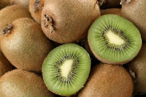 kiwi fruit.jpg