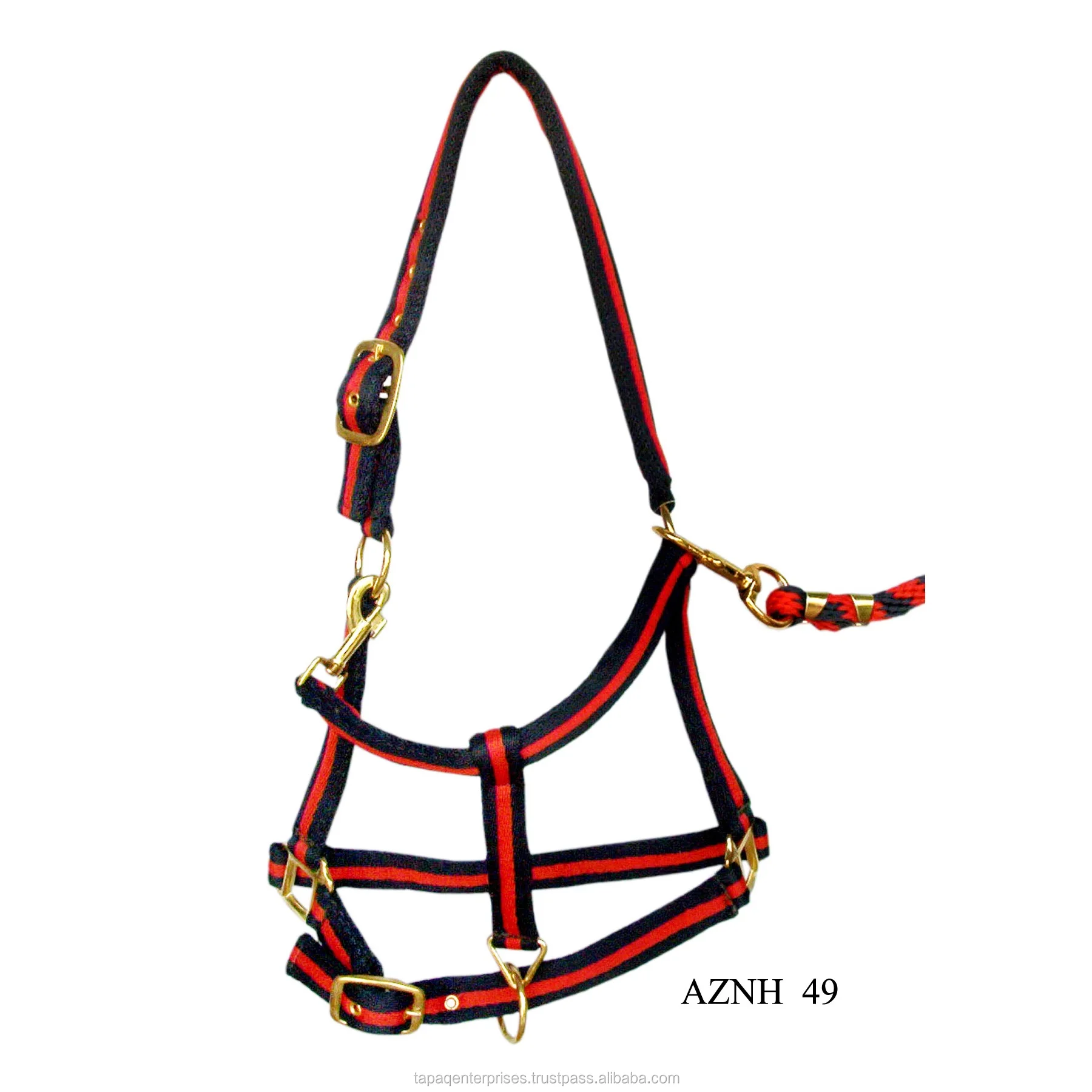 AZNH 49.jpg