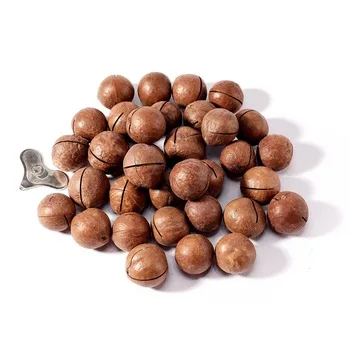 macadamia nut 47.jpg