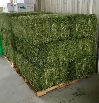 bermuda grass hay for sale