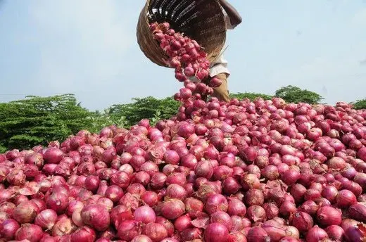 Fresh Onion - Fresh Shallot made in KENYA