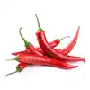 S17 Dried Red Chilli Price for Sale
