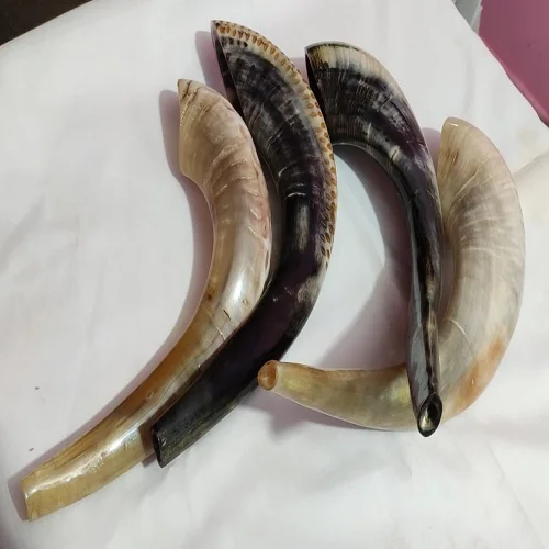 Oferta Venta Ram Cuerno Shofar 8to16 Pulgadas/kudu/pulido Shofar
