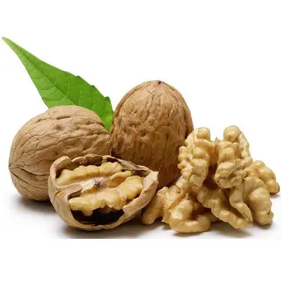 walnut-kumbhat.jpg
